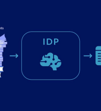 IDPU-AI First Image